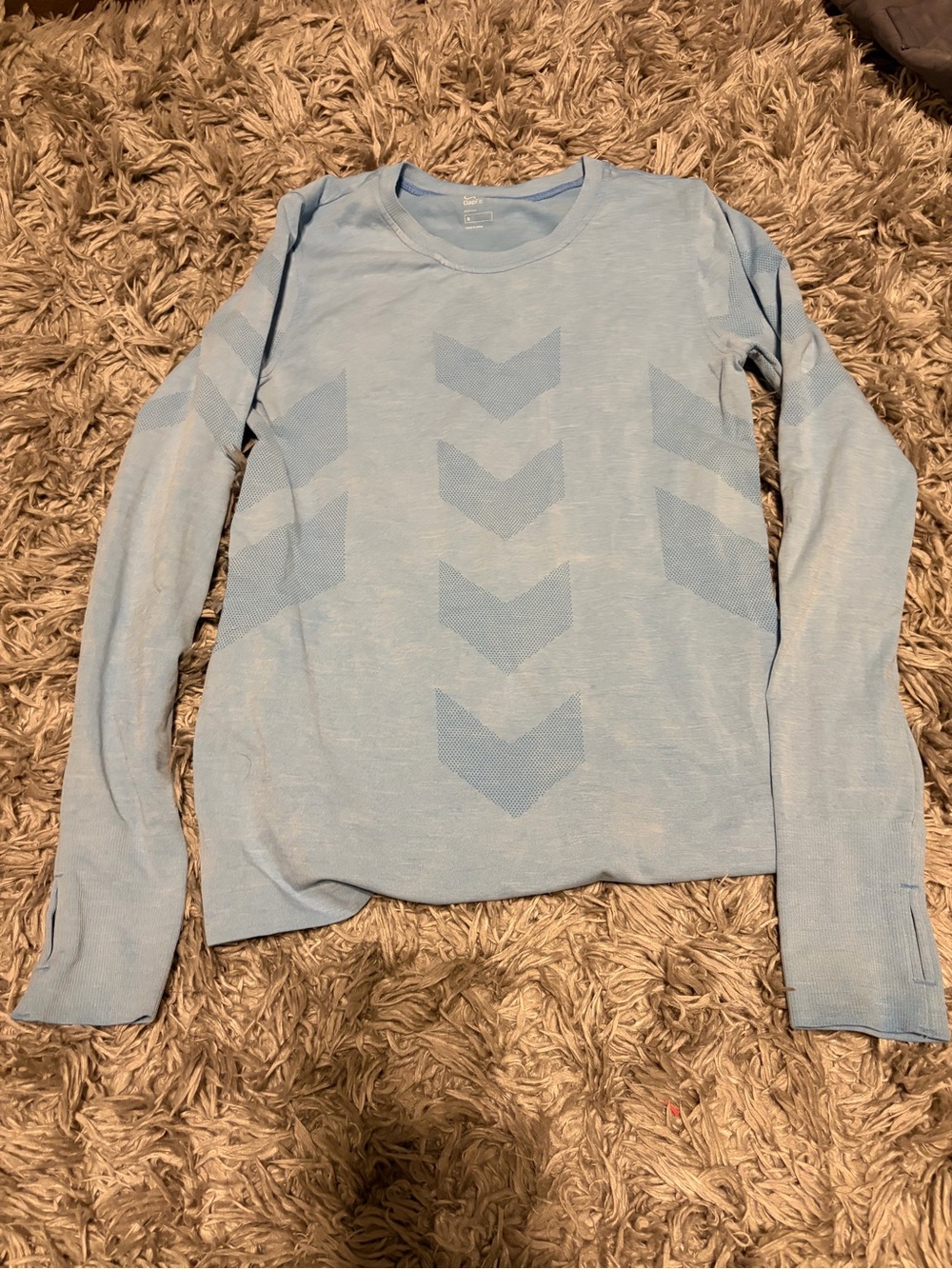 GAP Light Blue Crewneck Long Sleeve Top